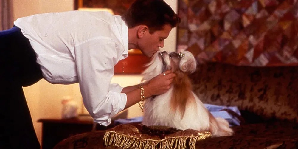 "God Loves A Terrier" & 9 Other Hilarious Quotes From Best In Show