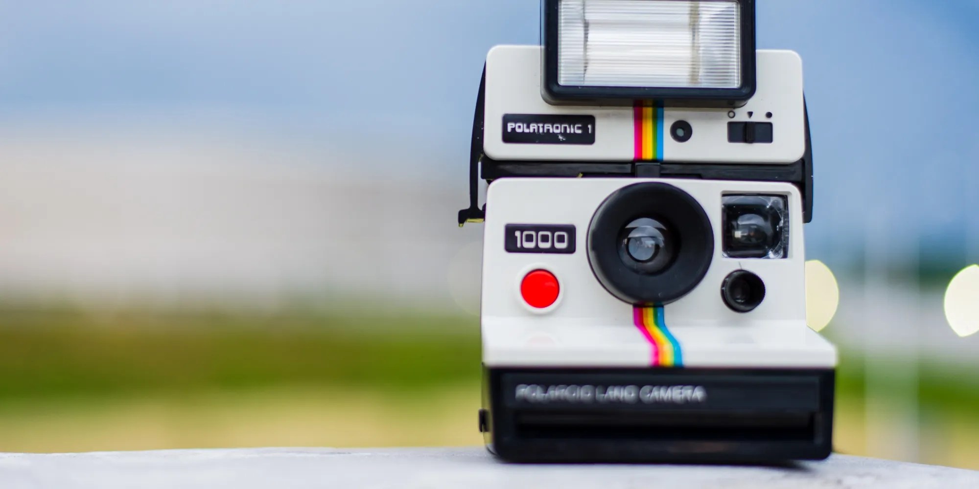 Best Film Cameras (Updated 2020)