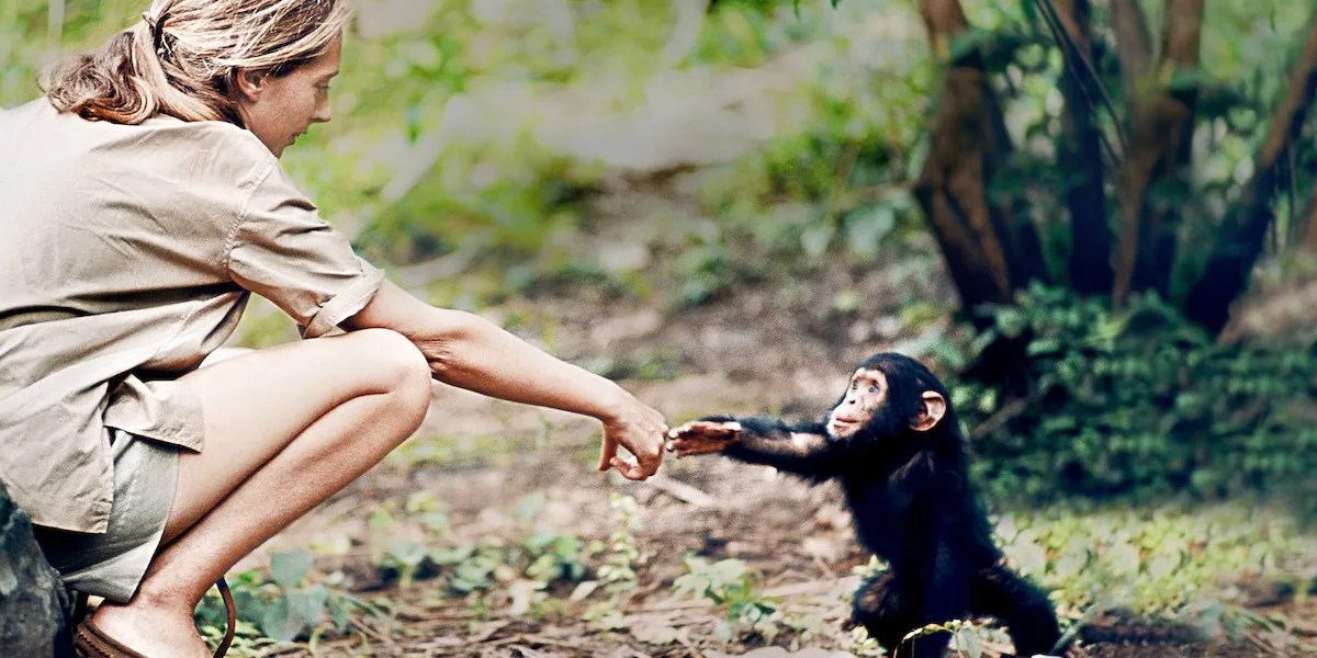 10 Best Outdoor Documentaries On Netflix Right Now