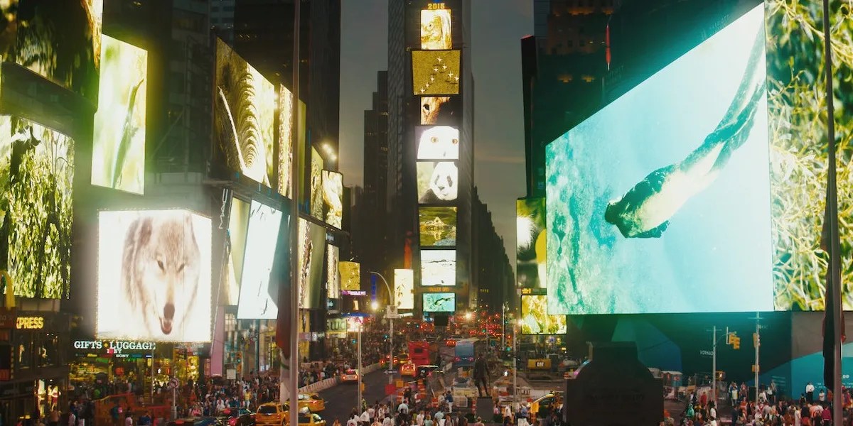 10 Best Outdoor Documentaries On Netflix Right Now