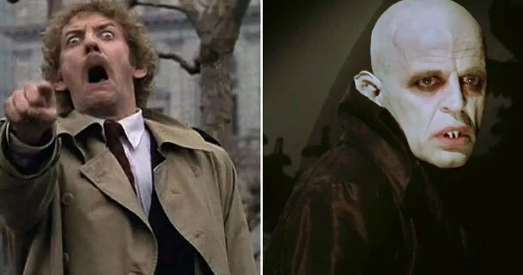 10 '70s Horror Films That Were Excellent