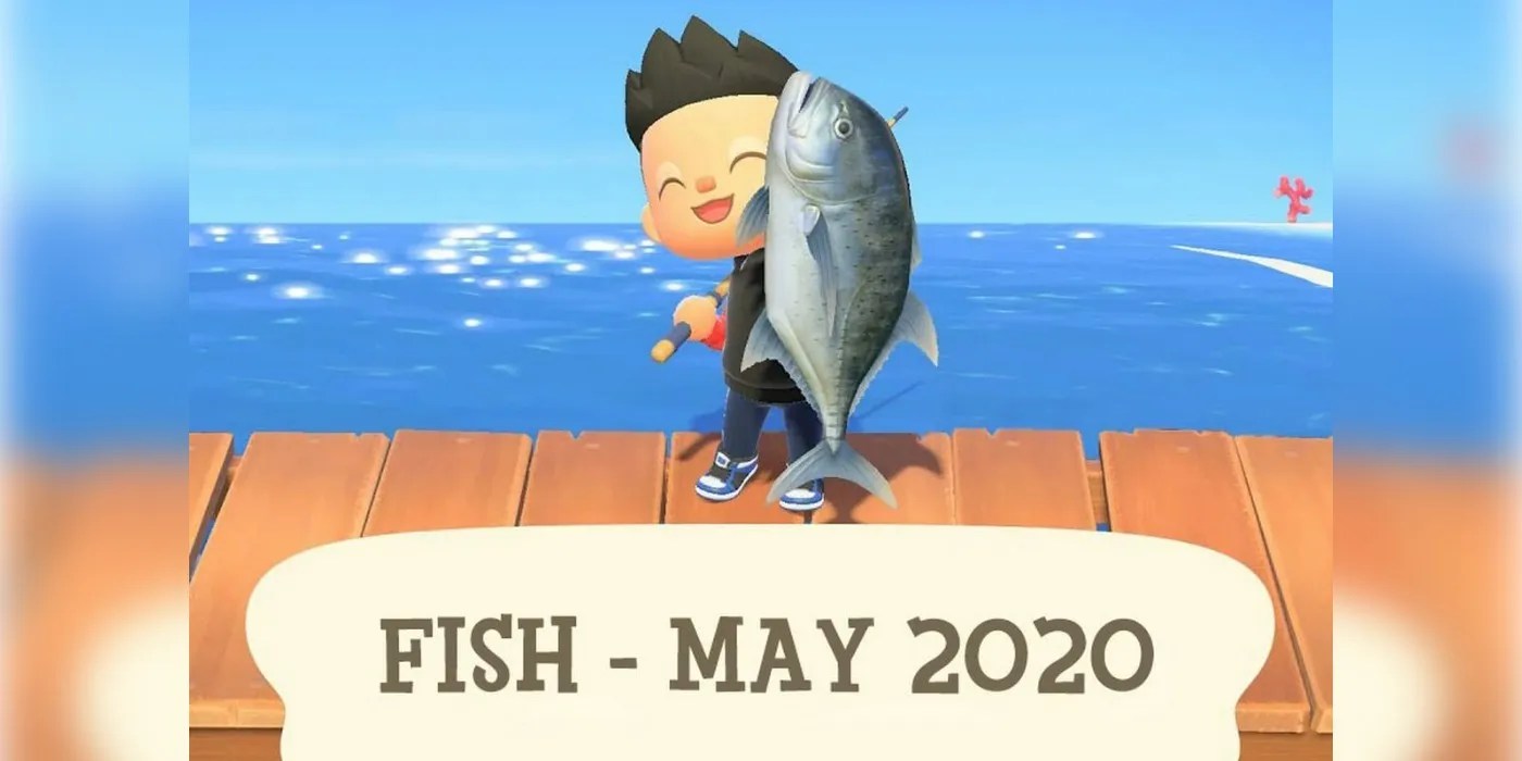 Animal Crossing New Horizons New Fish for May 2020