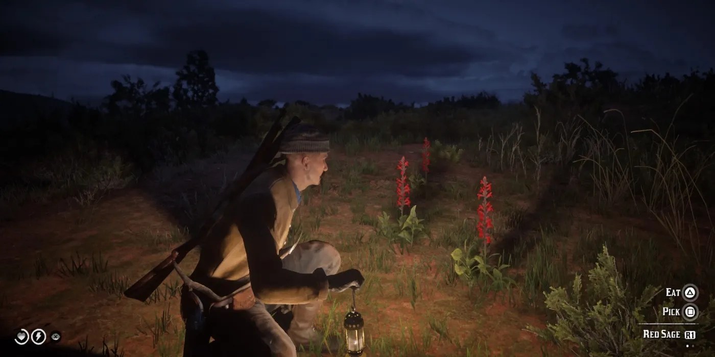 Red Sage in Red Dead Online Locations & Crafting Uses