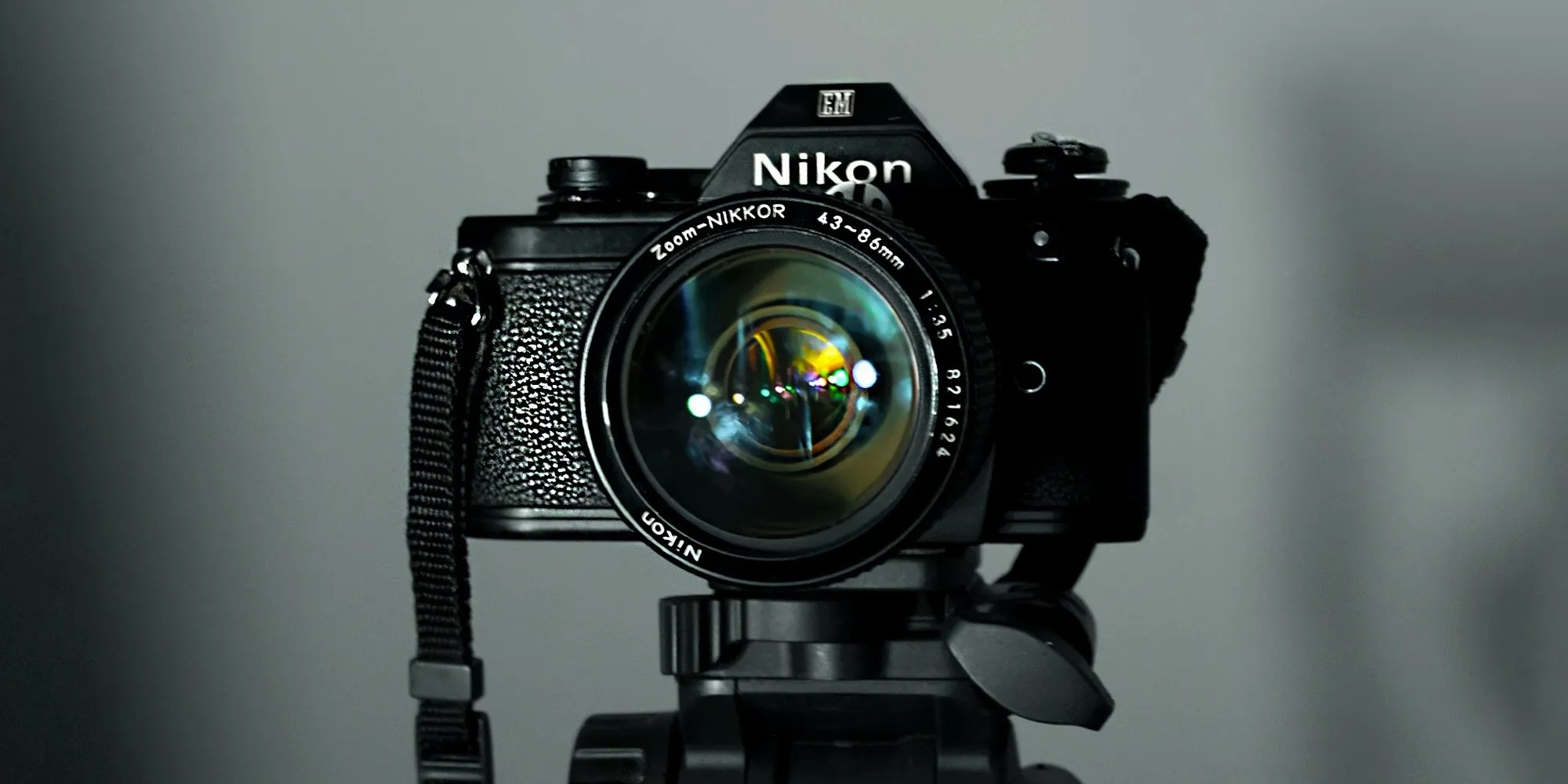Best Nikon Cameras (Updated 2020)