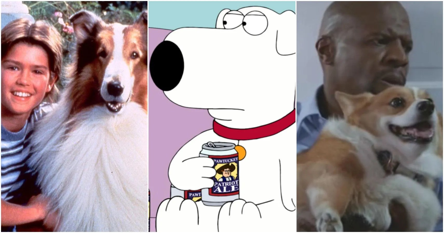 The 10 Most Iconic Dogs In TV History, Ranked ScreenRant