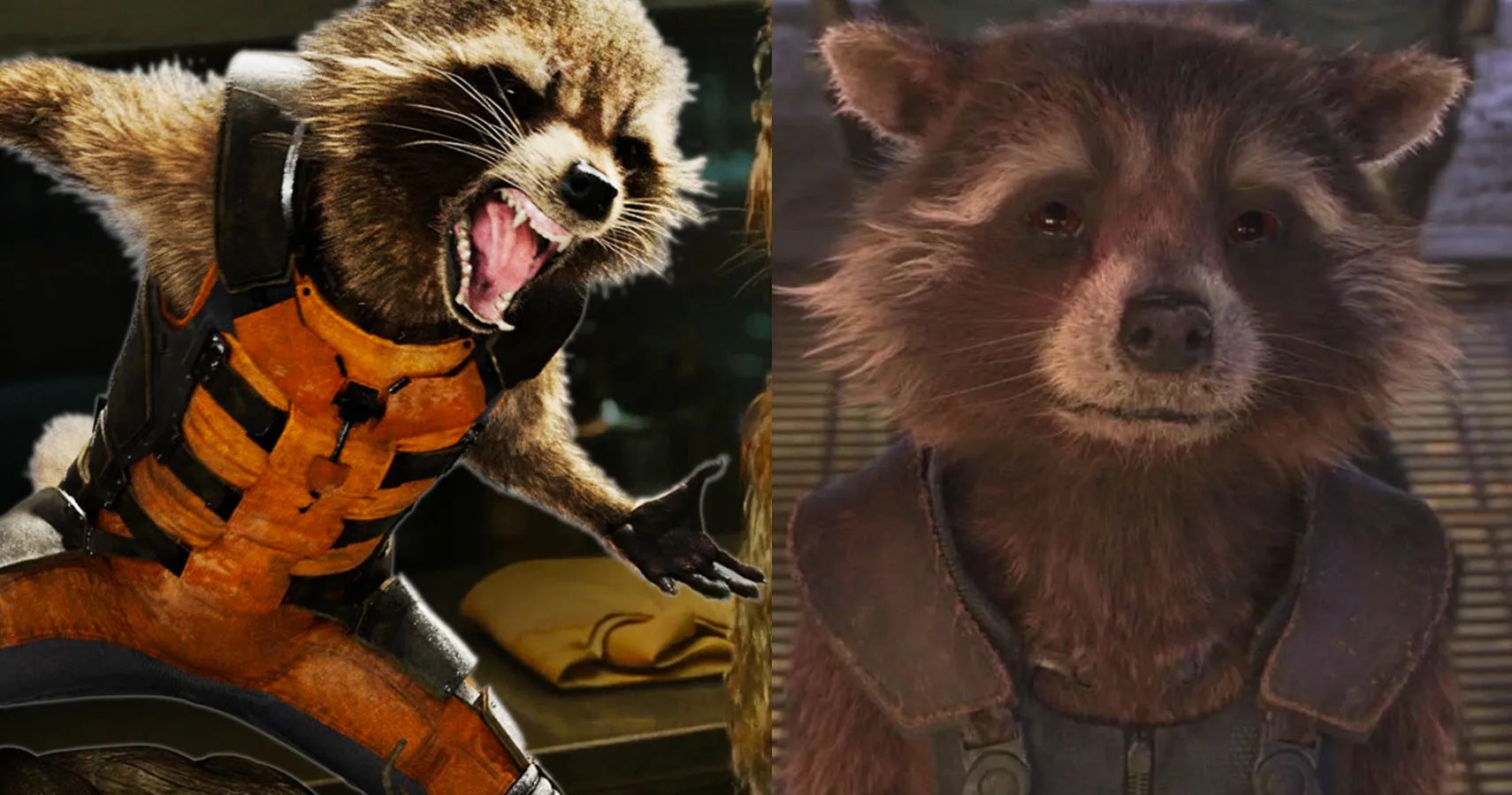 Rocket Raccoon Actor / 'Avengers Endgame' Spoilers Rocket Raccoon