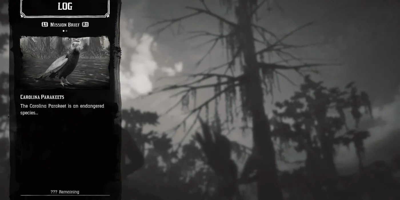 Red Dead Redemption 2 Where to Find The Carolina Parakeet