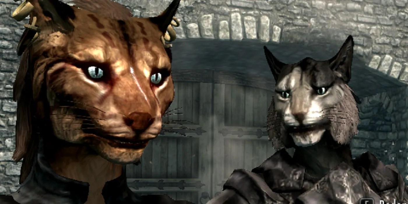 Elder Scrolls' Khajiit Explained Who & What Skyrim's Cat People Are