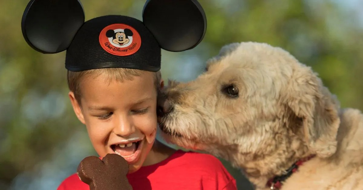 Does Disneyland Have WiFi (& 9 Other Things You Need To Know When