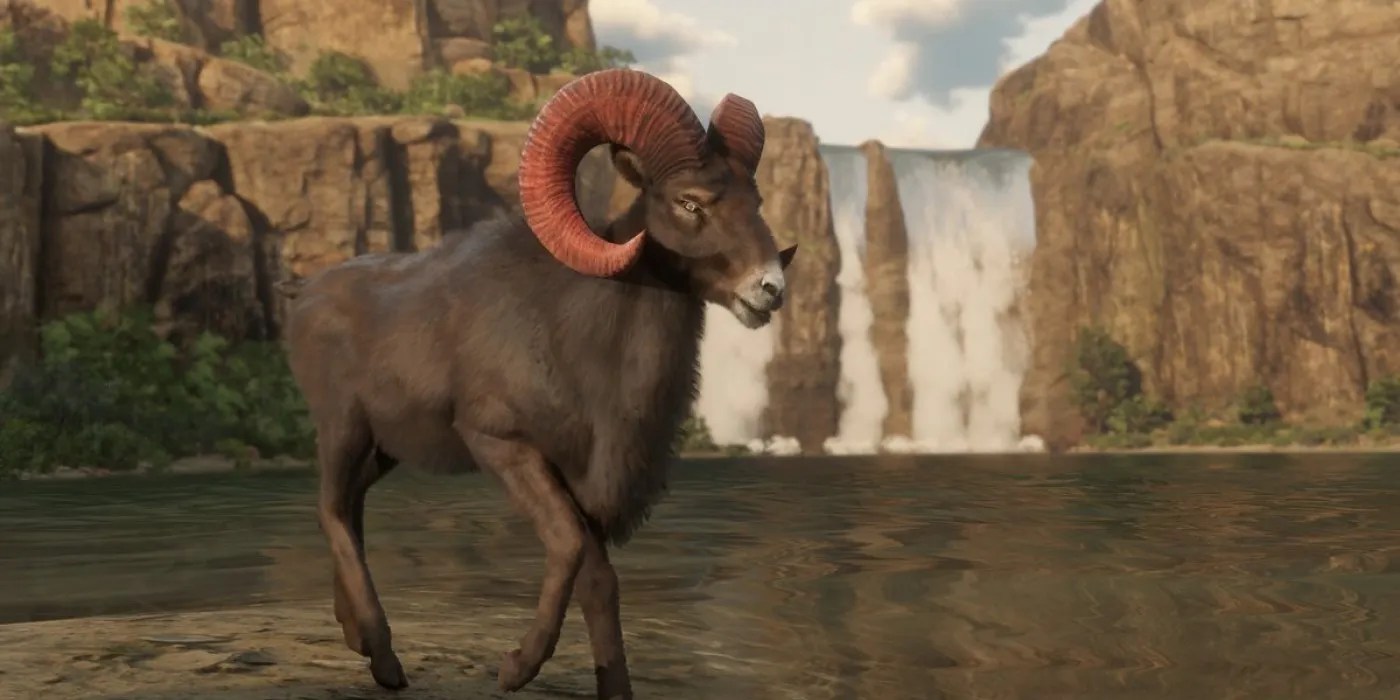 Where to Find The Legendary Gabbro Horn Ram Location in Red Dead Online