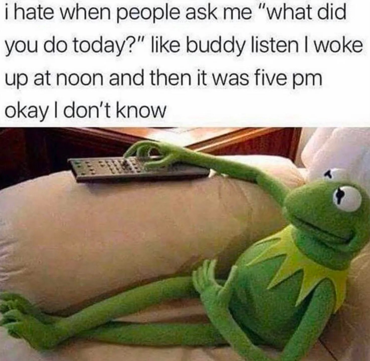 Muppets 10 Funniest Kermit The Frog Memes