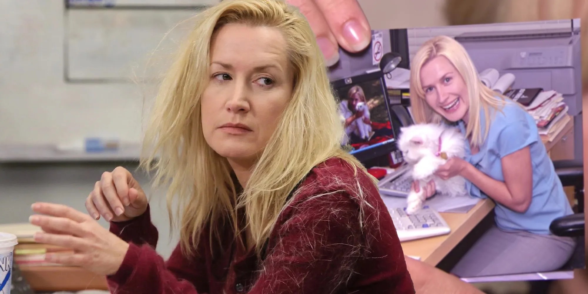 The Office How Many Cats Did Angela Have (& What Happened To Them)