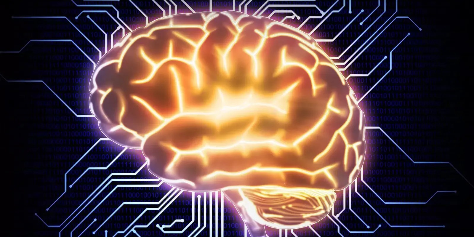 Study Kids Who Play Video Games Have Enhanced Brain Function As Adults