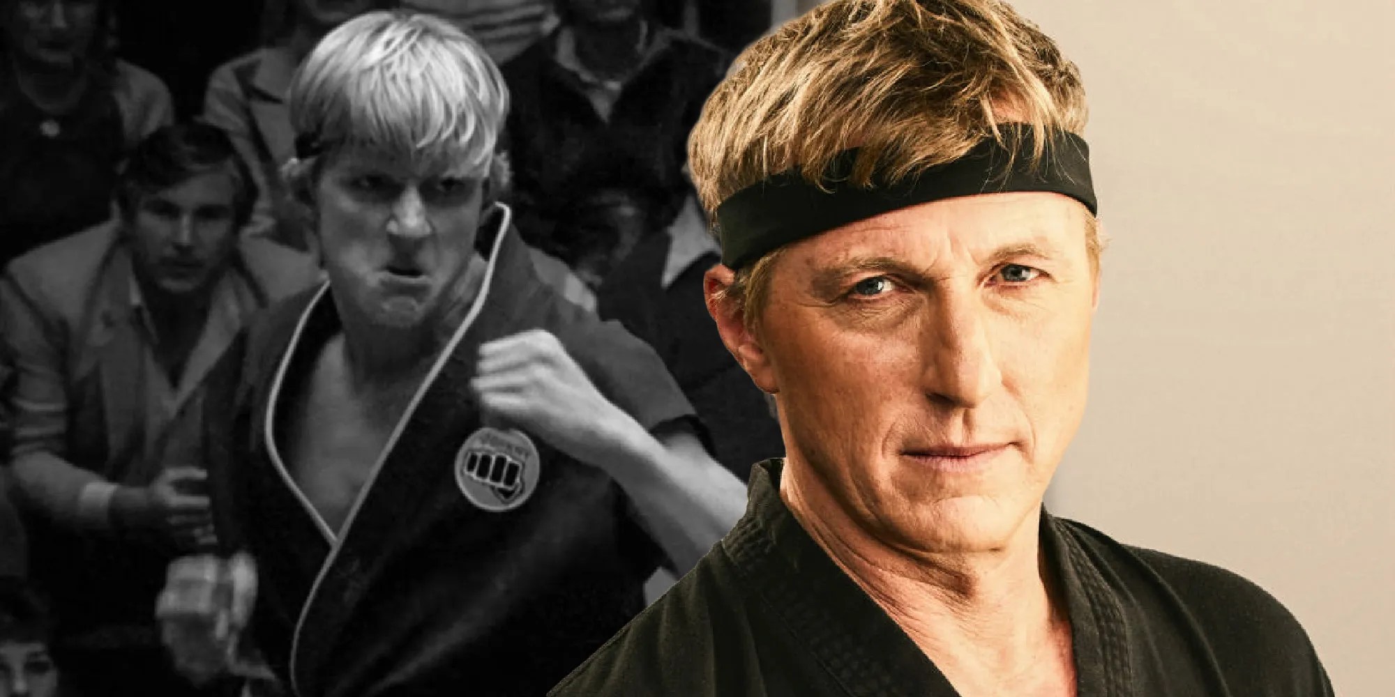 How Cobra Kai Changed Karate Kid Fans' Reaction To Johnny
