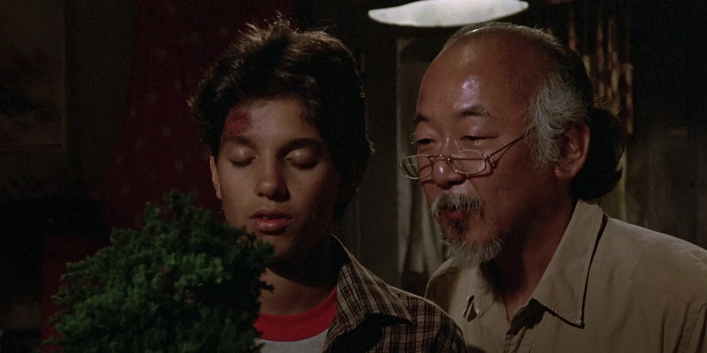 15 Best Karate Kid Quotes From The Original 4 Movies