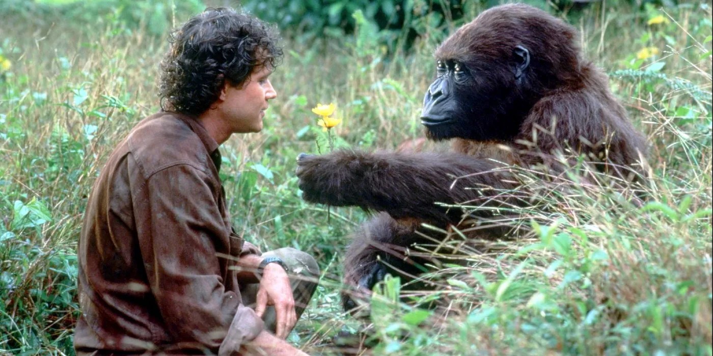 10 Best Monkey Appearances In Movies (Ranked By IMDb)