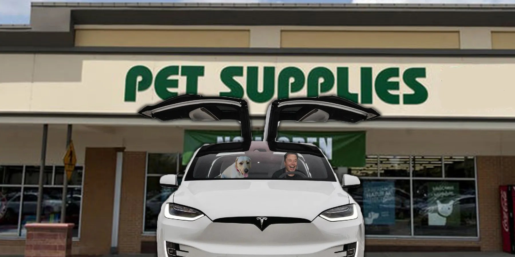 Tesla 'Dog Mode' Explained & Why It's A Great Feature For Pet Owners