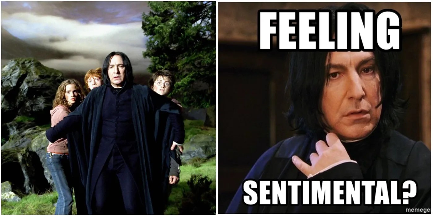 Harry Potter 10 Hilarious Memes That Prove Snape Cared For Harry