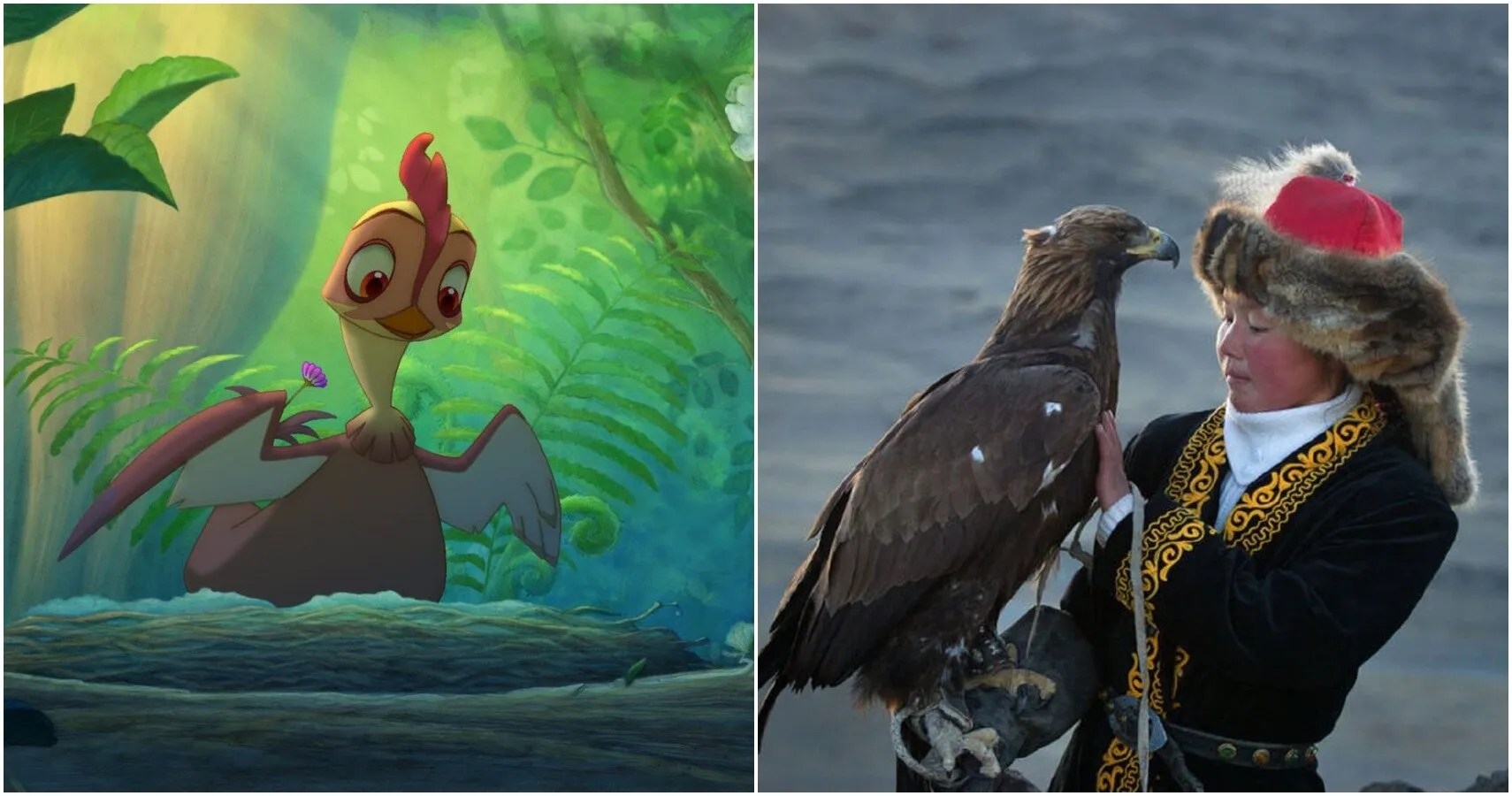 Birdwatching 10 Movies About Birds, Ranked By IMDb Score