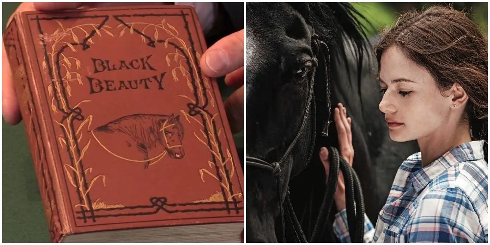 Black Beauty (2020) 5 Things It Changed From The Original Novel (& 5