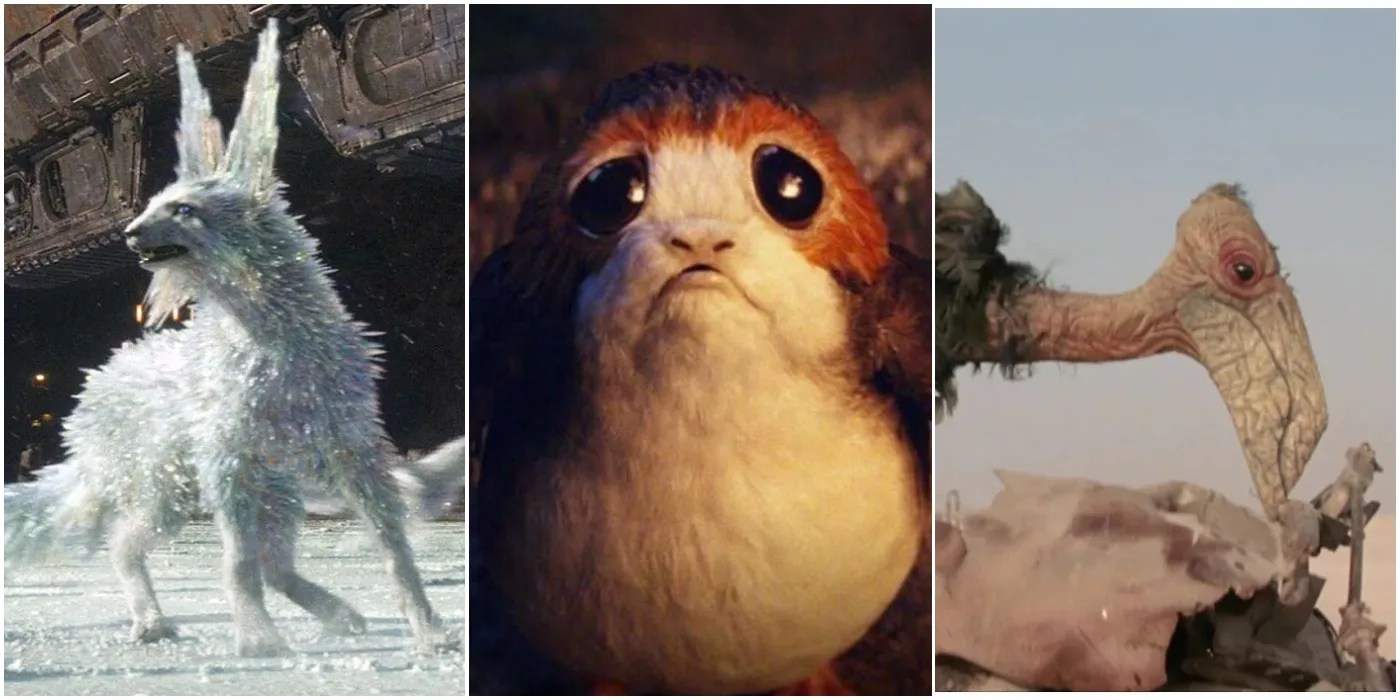 Star Wars (& 9 Other Species The Sequel Trilogy Introduced)