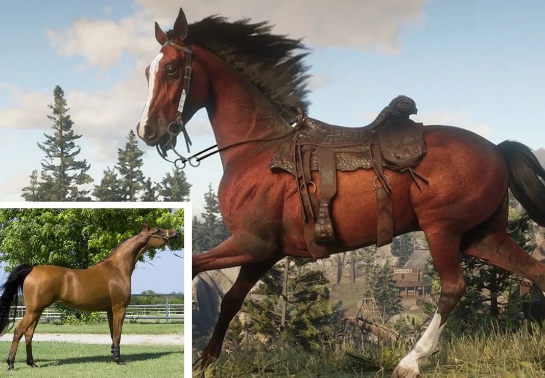 Horse Coat Colors Rdr2 Colorpaints.co