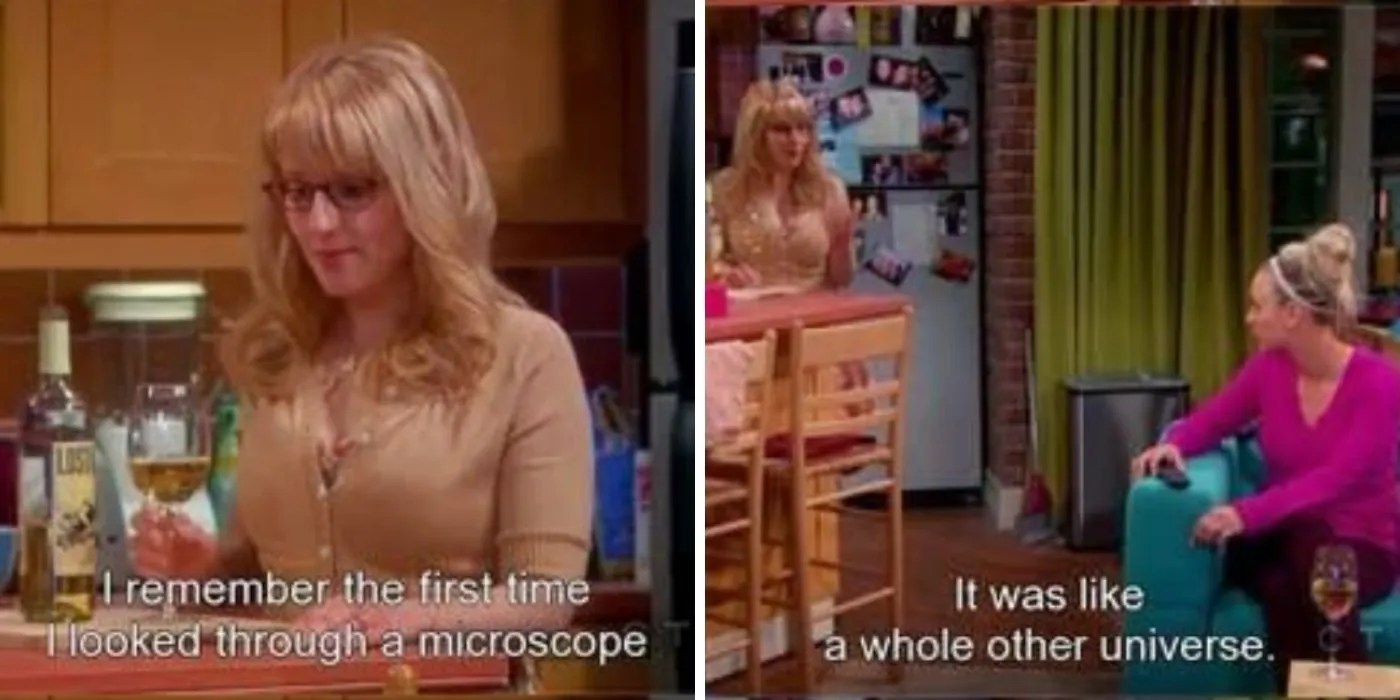 The Big Bang Theory Bernadette's 11 Most Emotional Quotes, Ranked