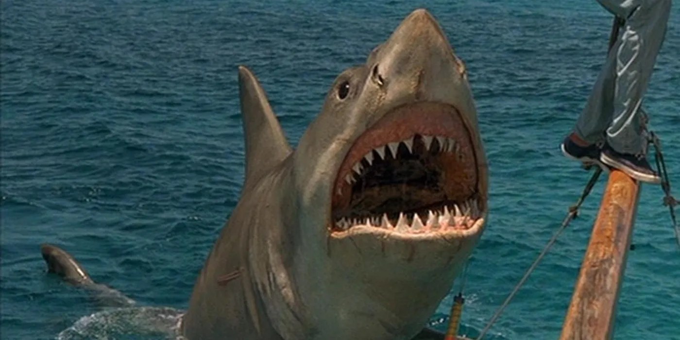 Moves so bad that they&rsquo;re good, according to Reddit - Jaws The Revenge (1987)