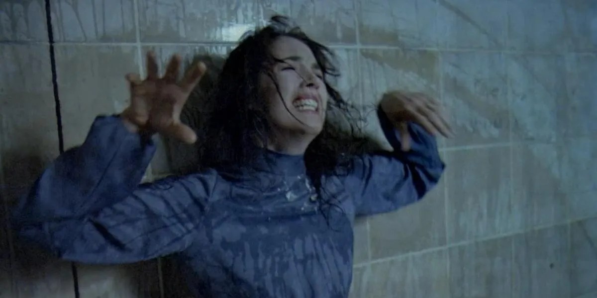 10 Terrifying French Horror Films, Ranked by IMDb ScreenRant