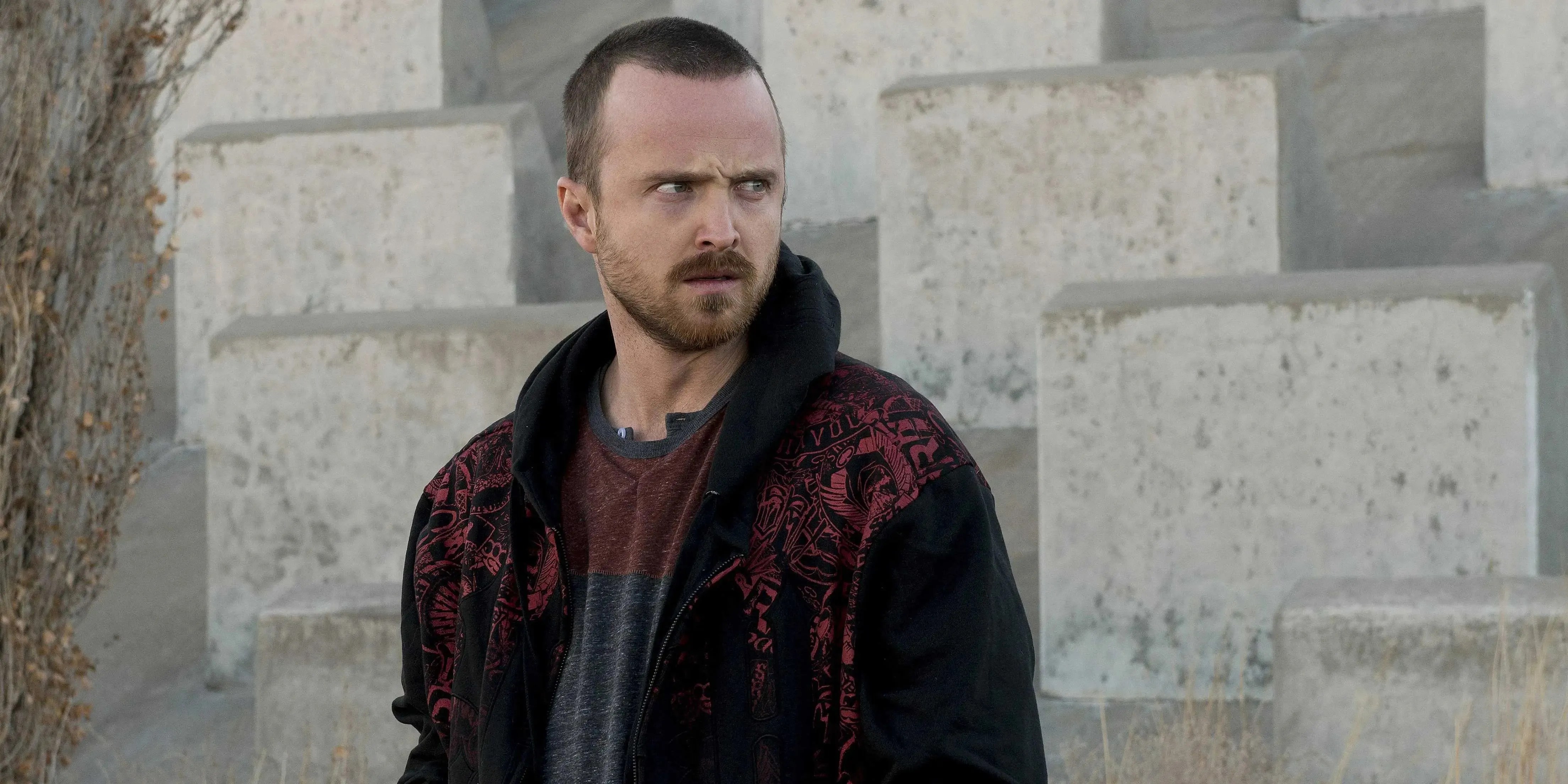 The 10 Best Character Arcs In Better Call Saul And Breaking Bad
