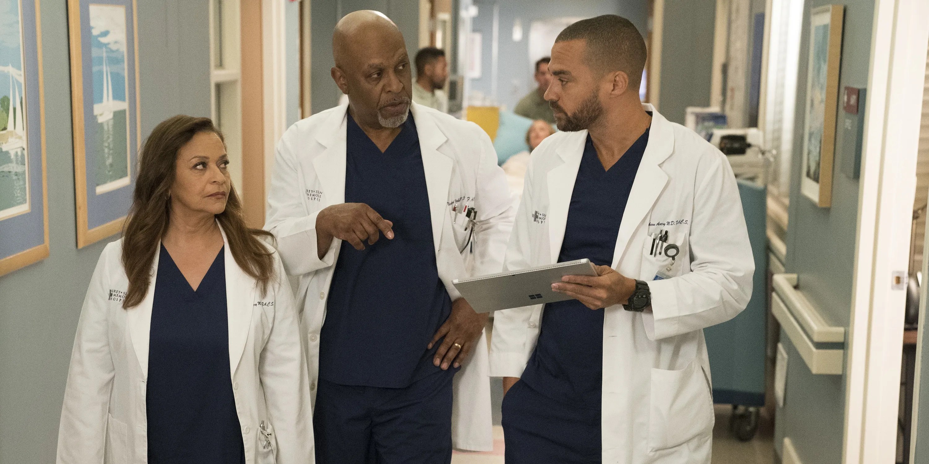 Grey's Anatomy The Main Characters, Ranked By Meanness