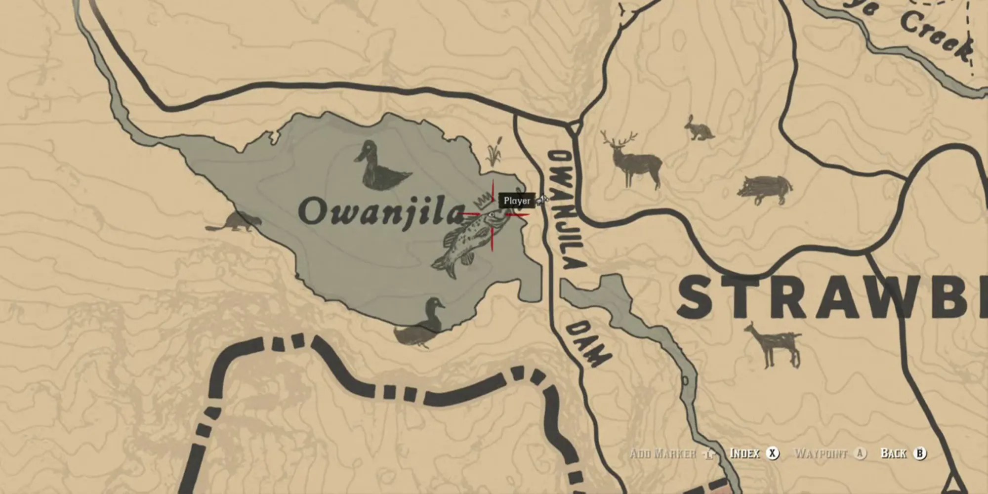 Where to Find The Legendary Night Beaver Location in Red Dead Online