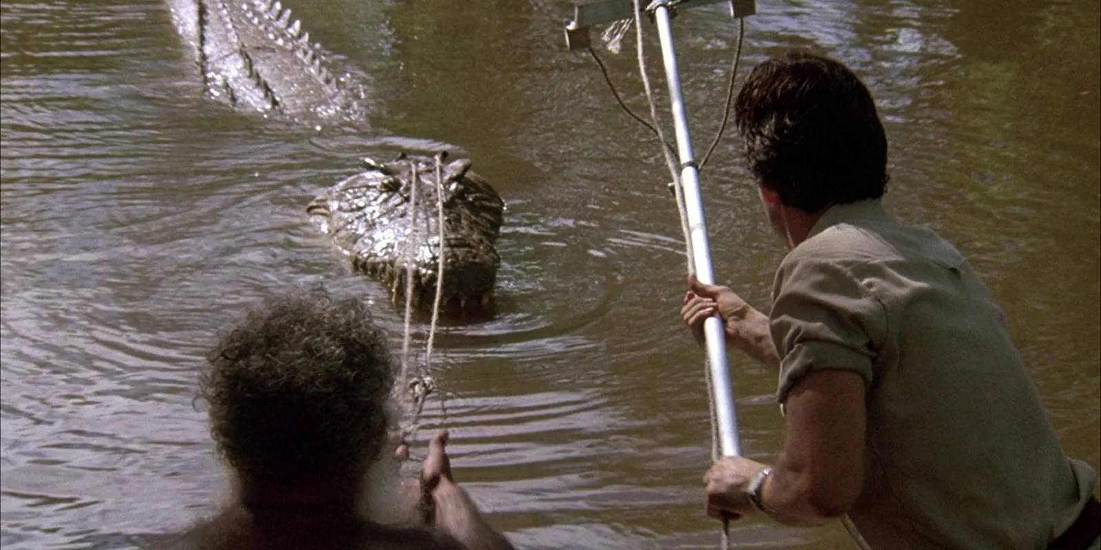 11 Best Crocodile/Alligator Horror Movies Ranked