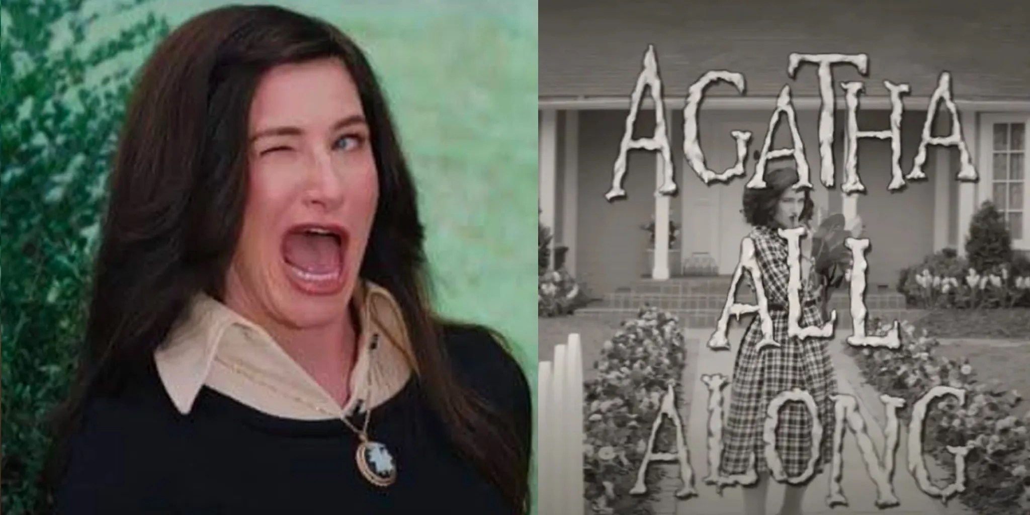 WandaVision 10 Hilarious Agatha Harkness Memes