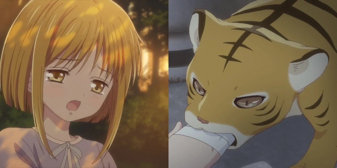 Fruits Basket Every Soma Zodiac Character & Their Animal Transformation