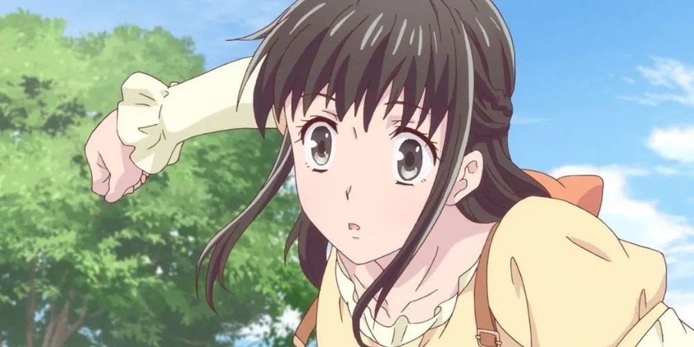 Zodiac Signs Of Fruits Basket Characters