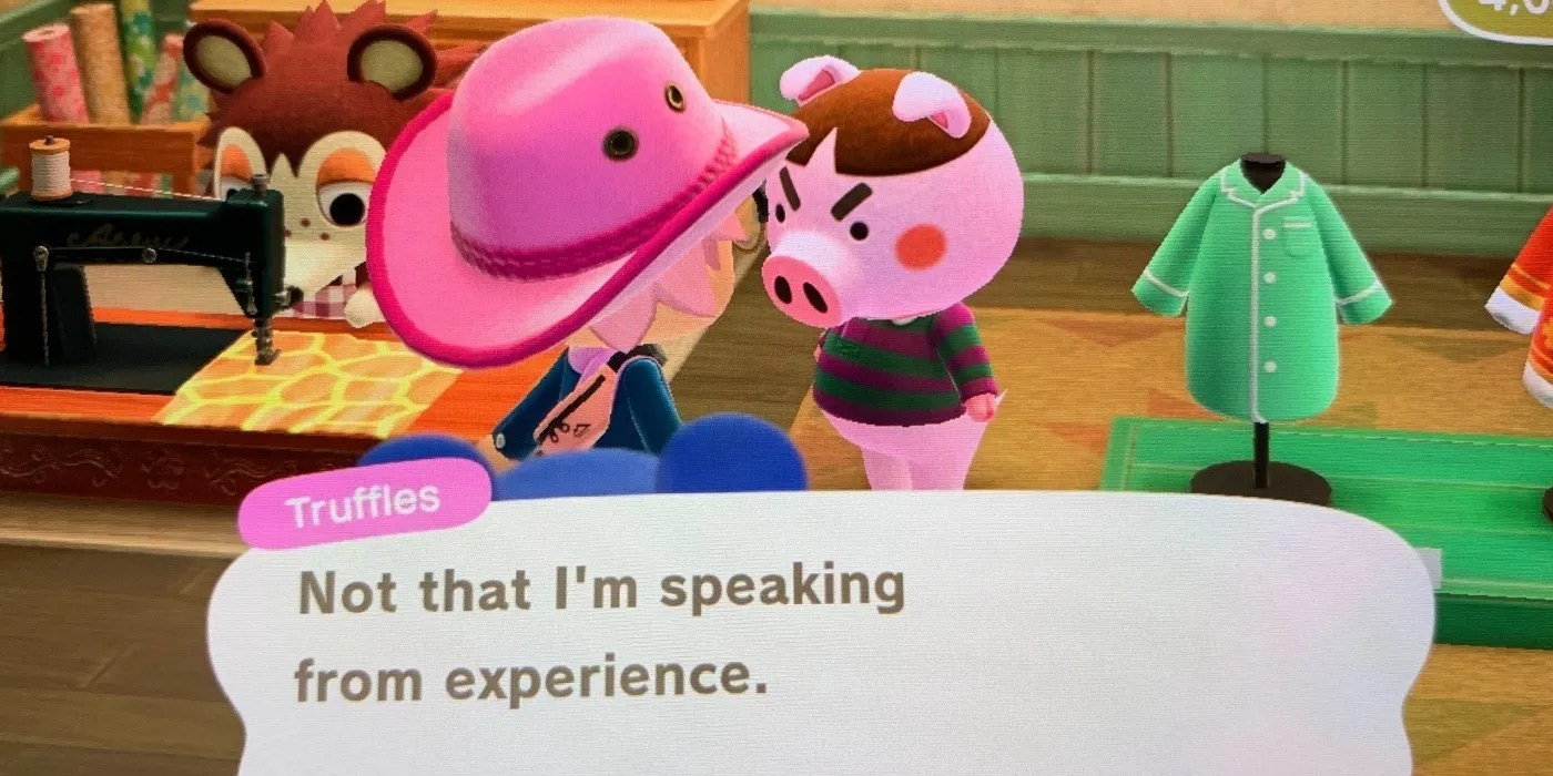 Animal Crossing Characters Who SHOULDN'T Be BuildABears