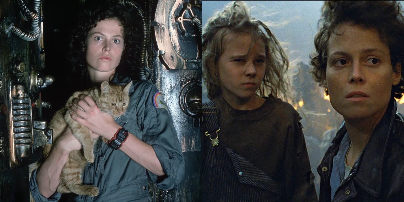 10 Franchises With The Most Movies On The IMDb Top 250 List