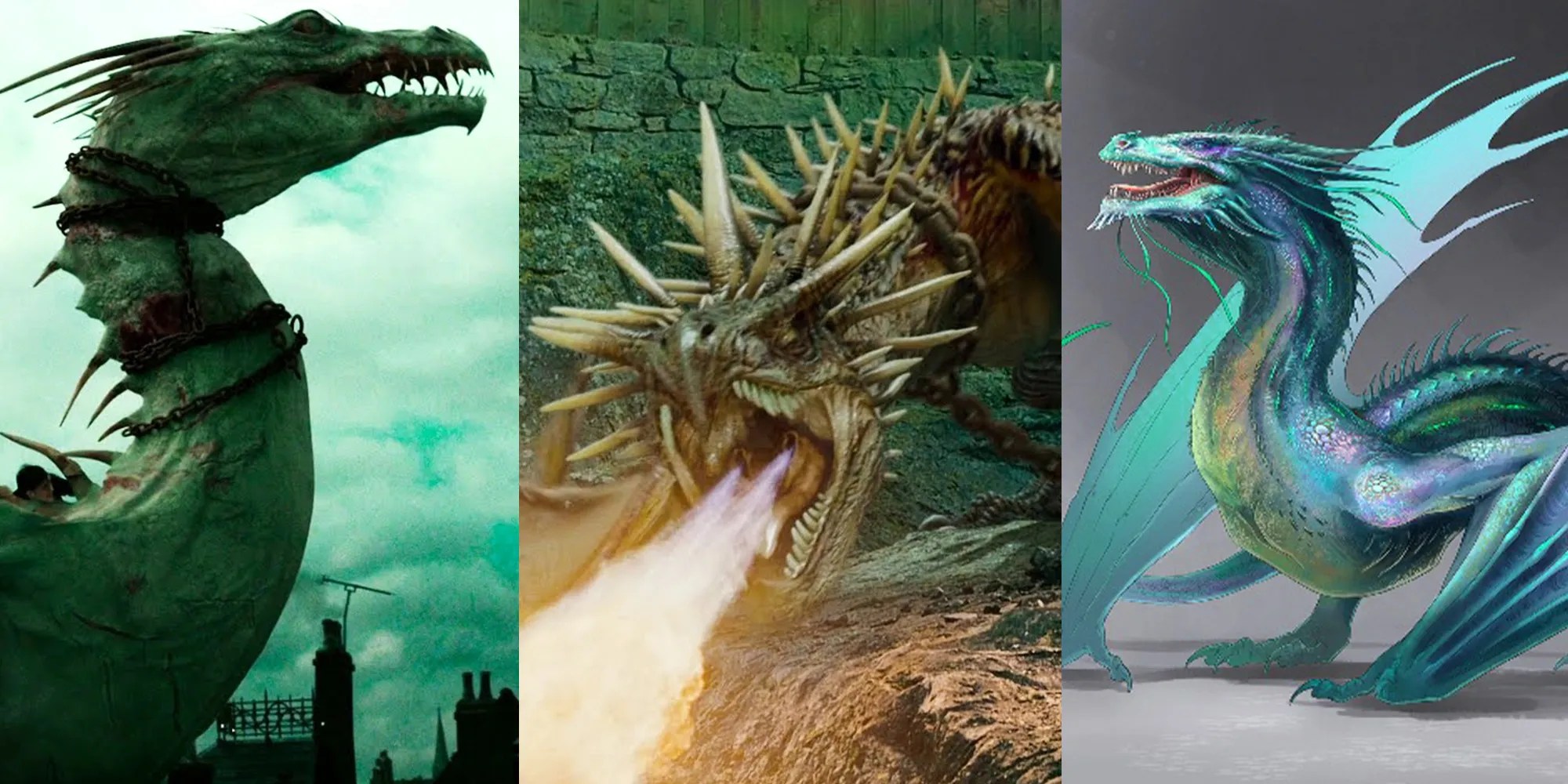 Harry Potter: Interesting & Little-Known Facts About Dragons
