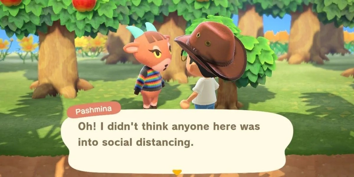 10 Best Sisterly Villagers in Animal Crossing New Horizons