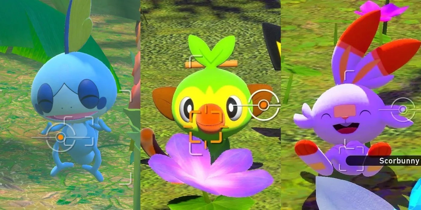 New Pokémon Snap Where To Find The Galar Starters