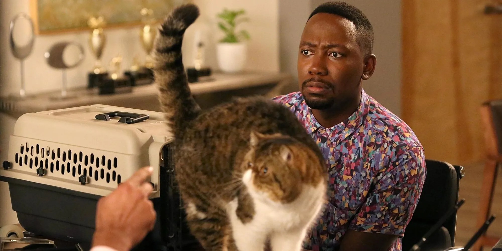 New Girl Winston Actor Reveals He Was Very Allergic To Ferguson The Cat