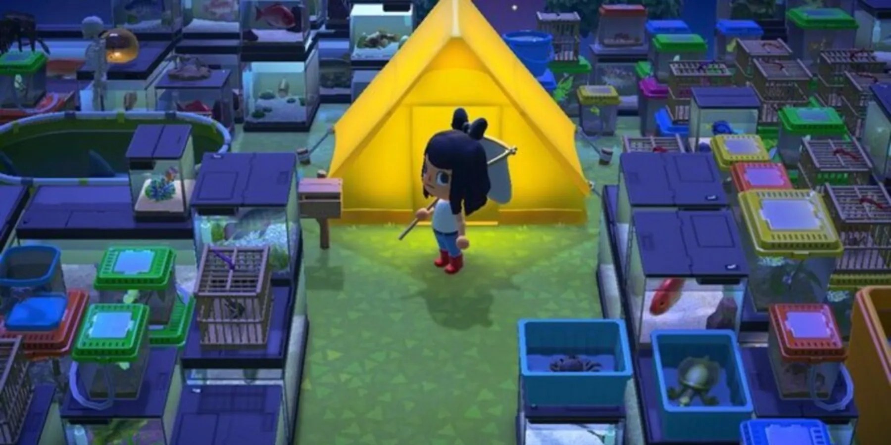 Animal Crossing 10 Tips To Get Started On Your Farm