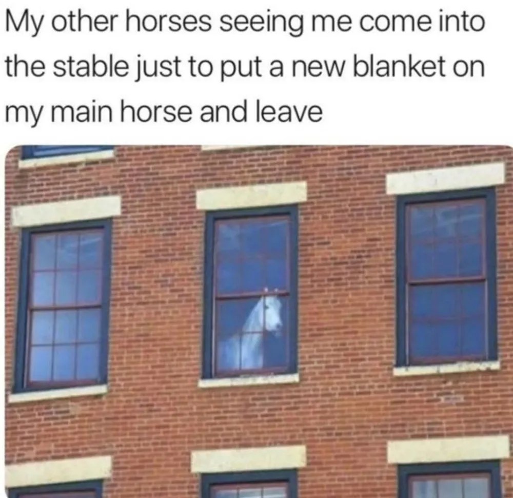 Red Dead Redemption 2 10 Horse Memes That Are Too Funny