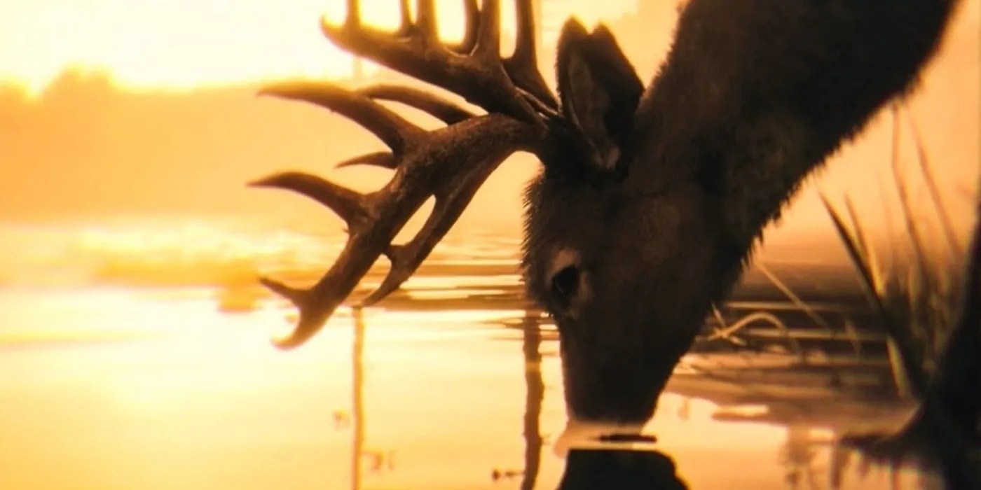 RDR2 Player Assaulted By Deer While Sneaking On A Mission