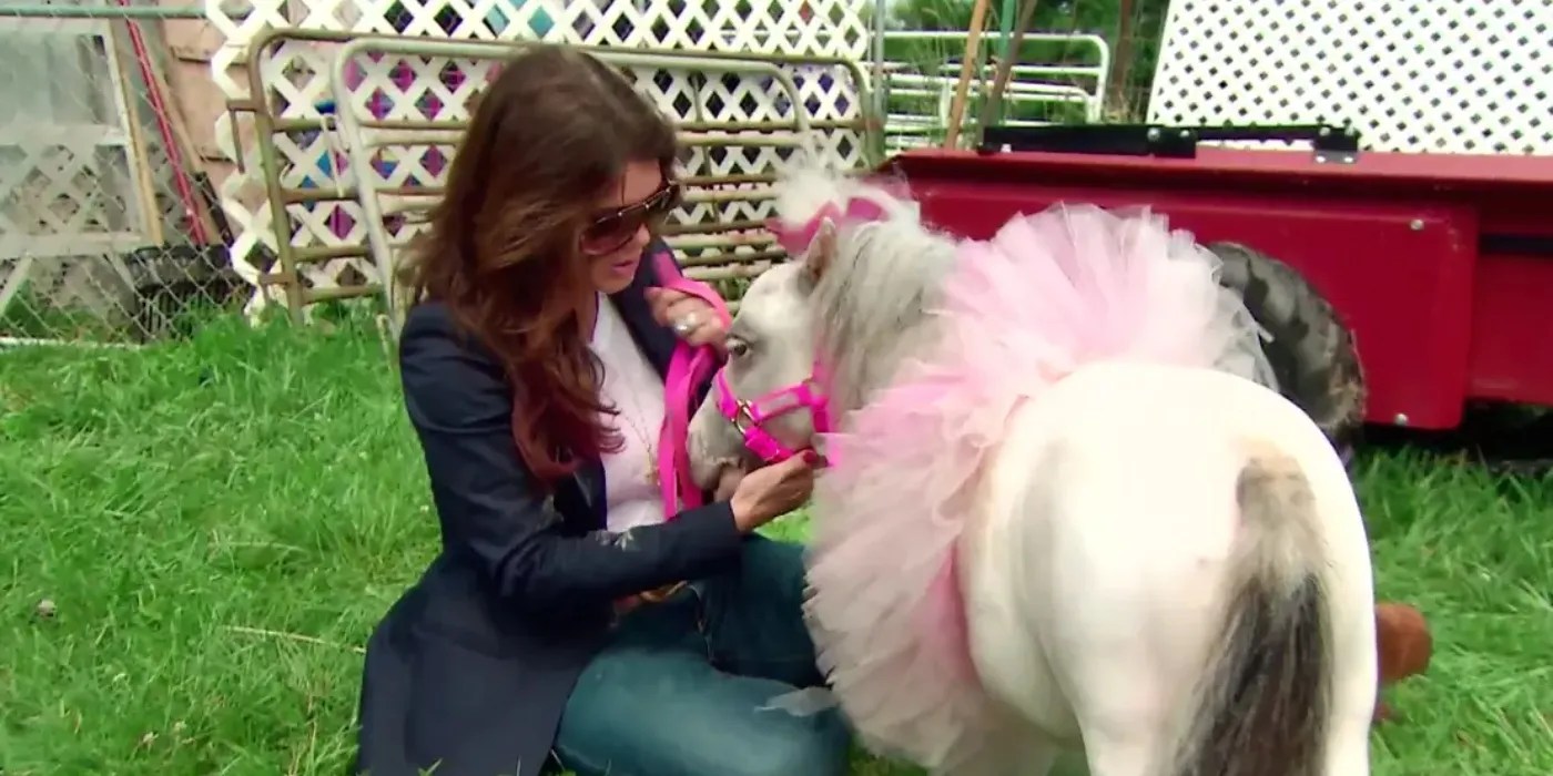 The Real Housewives of Beverly Hills 10 Best Lisa Vanderpump Episodes