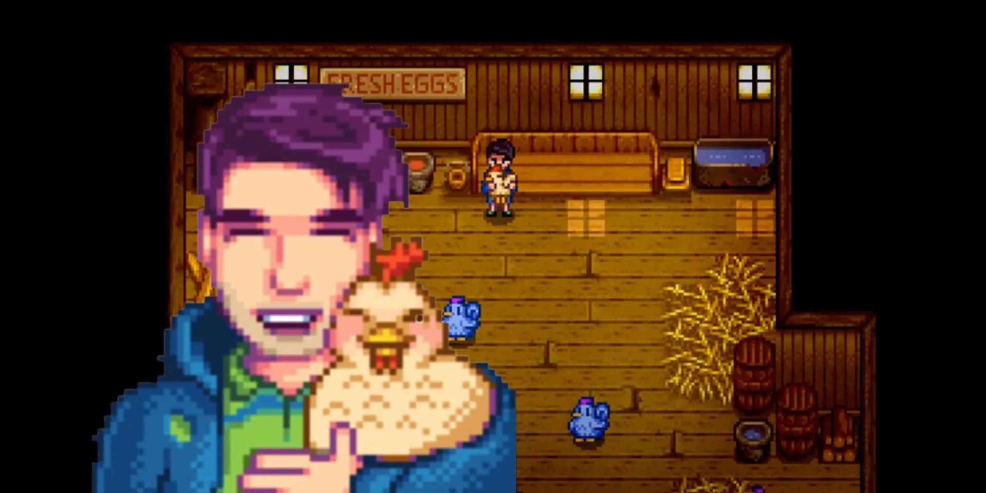 How To Feed Chickens In Stardew Valley