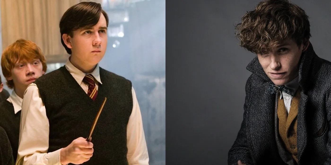 Harry Potter Meets Fantastic Beasts 5 Friendships That Would Work (& 5