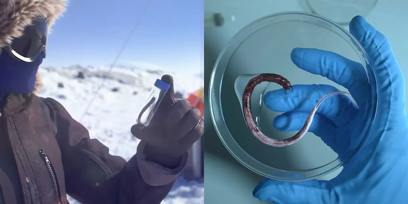 Back 4 Blood What Are Devil Worms & How Do They Work