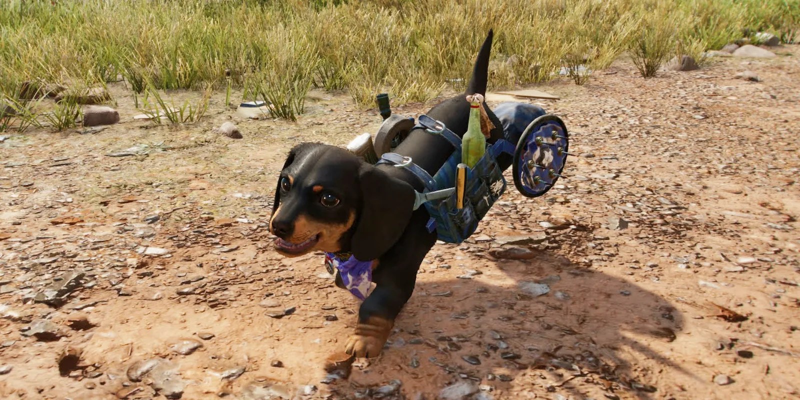 Far Cry 6 How to Get Chorizo (Amigo Location Guide)